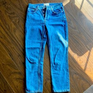 EVERLANE - 90’s Cheeky Crop Jeans, Button Fly - Size 25